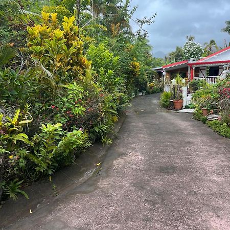 Lakour Fleurie - Ex La Case Creole Sainte-Rose Buitenkant foto