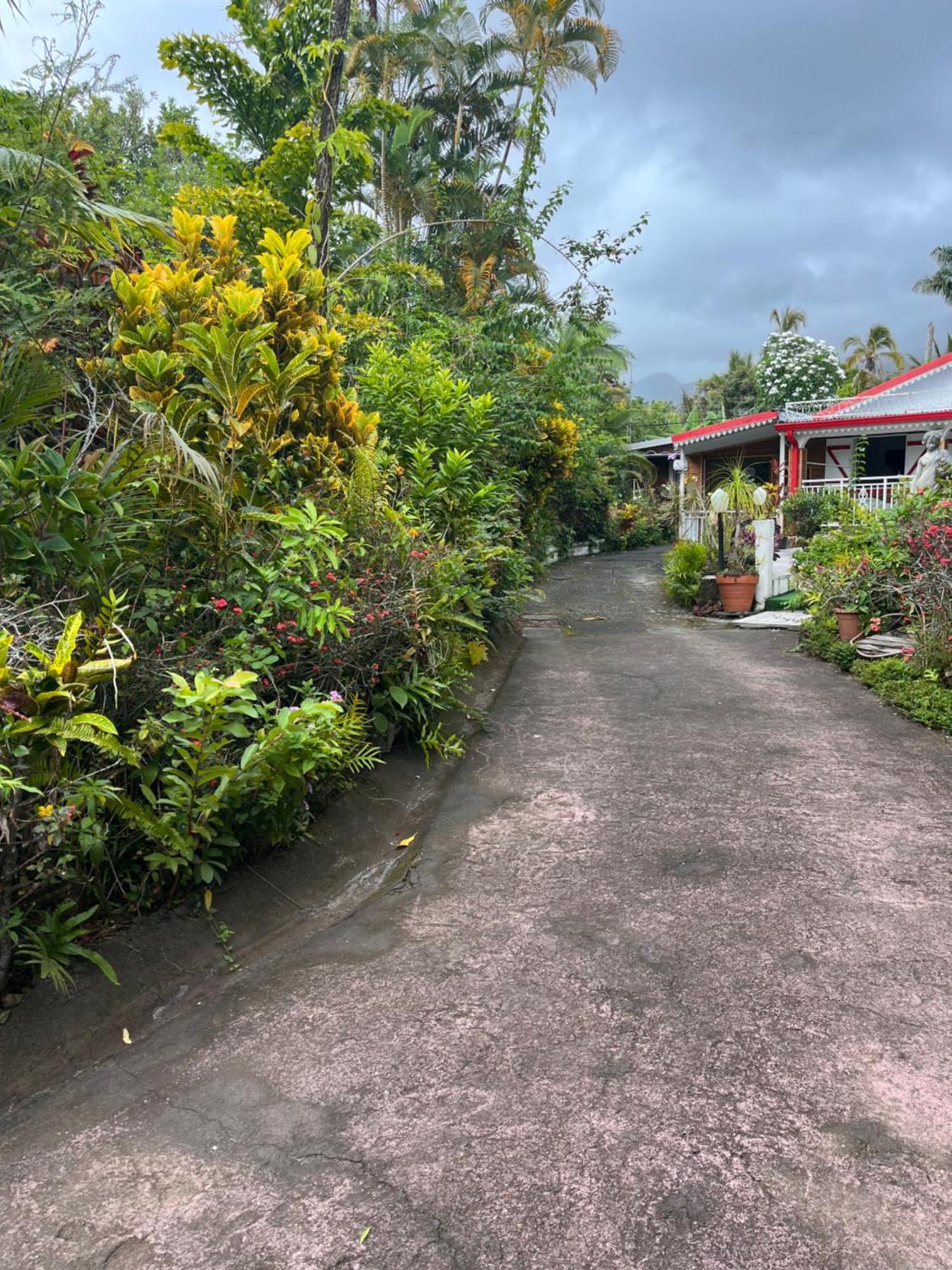 Lakour Fleurie - Ex La Case Creole Sainte-Rose Buitenkant foto
